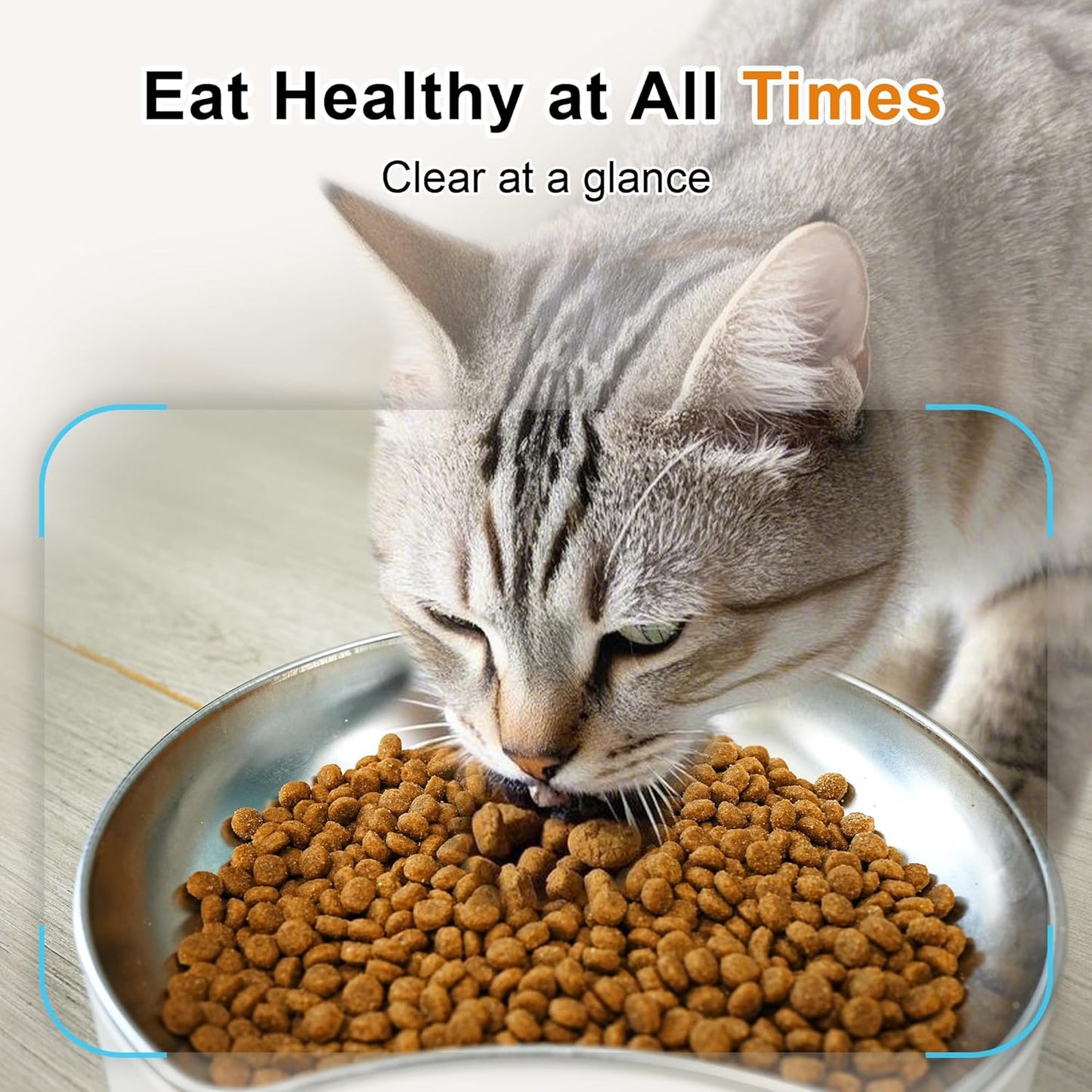 Smart Automatic Pet Feeder with App Control