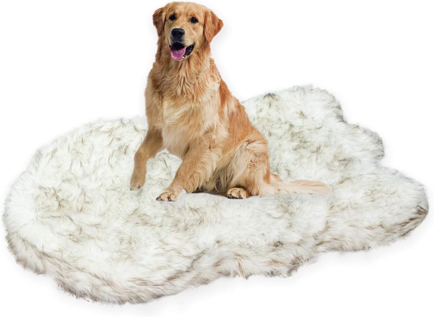 Luxury Orthopedic Memory Foam Dog Bed