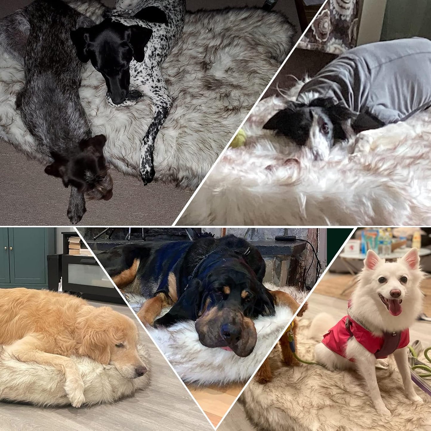 Luxury Orthopedic Memory Foam Dog Bed