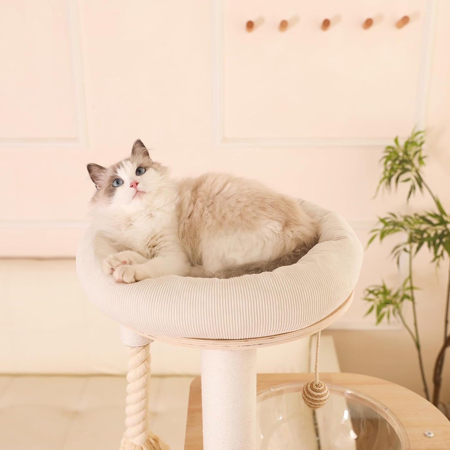 Luxury Cat Tree Tower with Hammocks and Scratching Posts