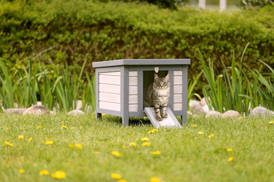 Luxury Outdoor Pet House with Insulation