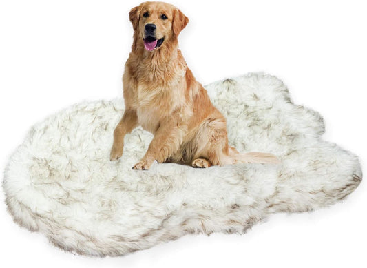 Luxury Orthopedic Memory Foam Dog Bed